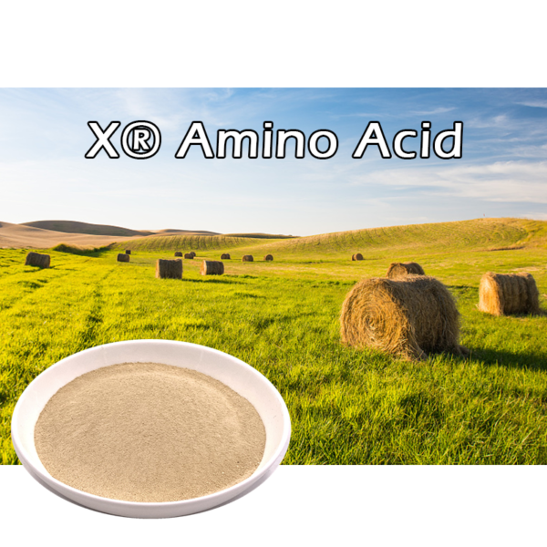 X® Amino Acid