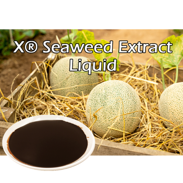 X® Seaweed Extract liquid
