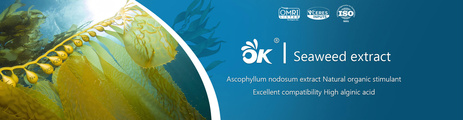 x-humate-seaweed-extract-ascophyllum-nodosum-organic-stimulant-alginic-acid-fertilizer-omri-ceres-manufacturer